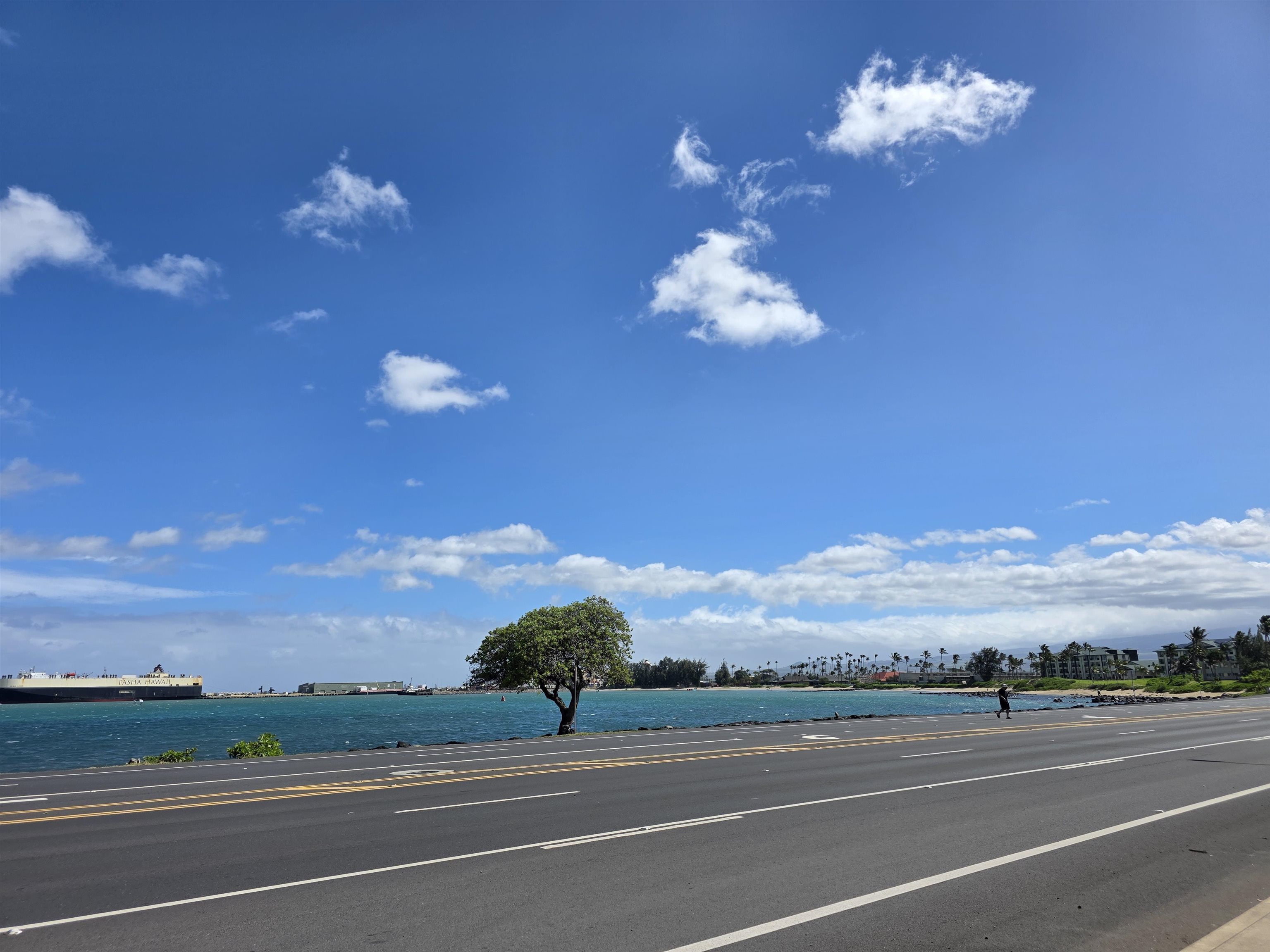 111 Kahului Beach Road, Unit B306 Kahului, HI 96732 - Photo 29 of 29 a view of a houses with a city street