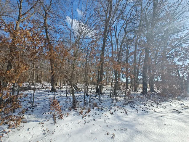 a view of road and trees