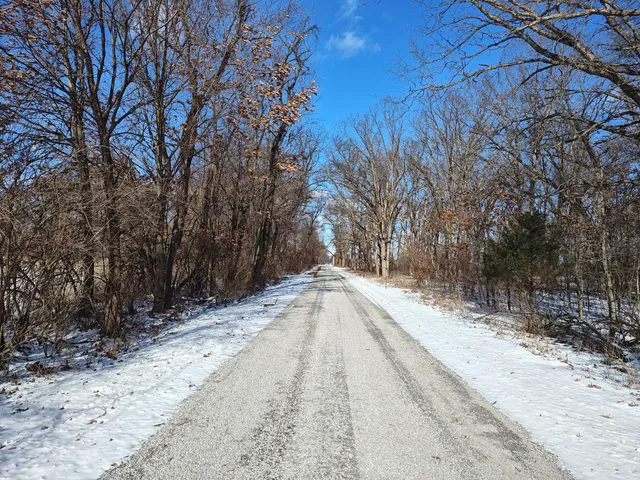 a view of empty space with trees