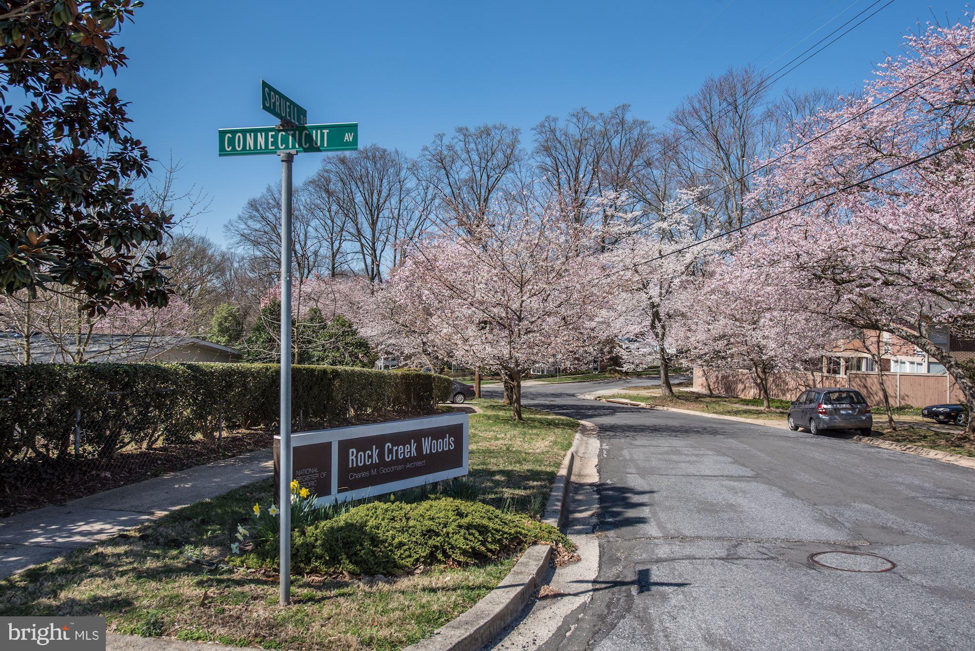 3700 Spruell Drive Silver Spring, MD 20902 - Photo 1 of 24 Cherry trees abound every spring