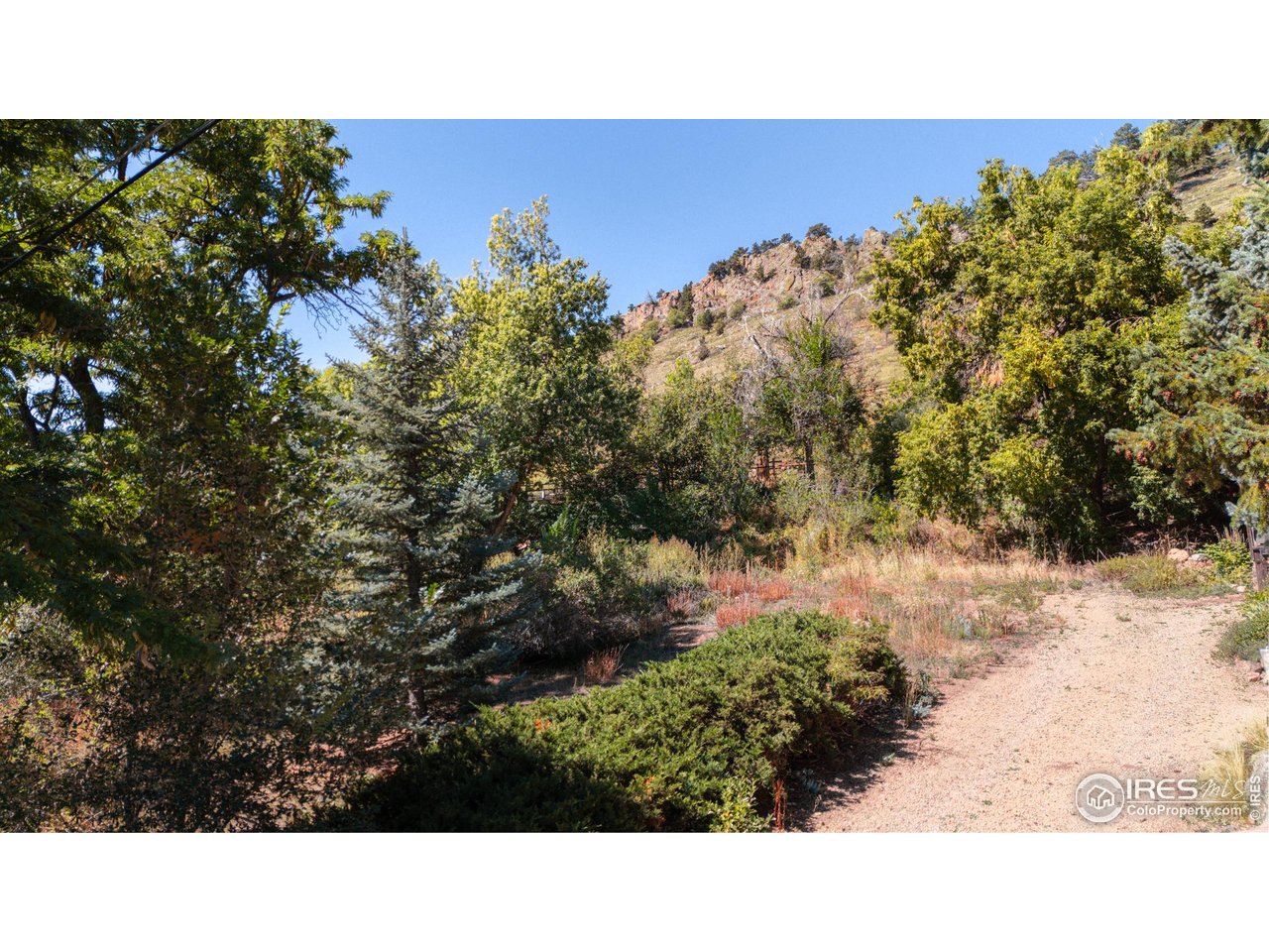 3033 3rd Street Boulder, CO 80304 - Photo 6 of 13 a open area with trees in the background