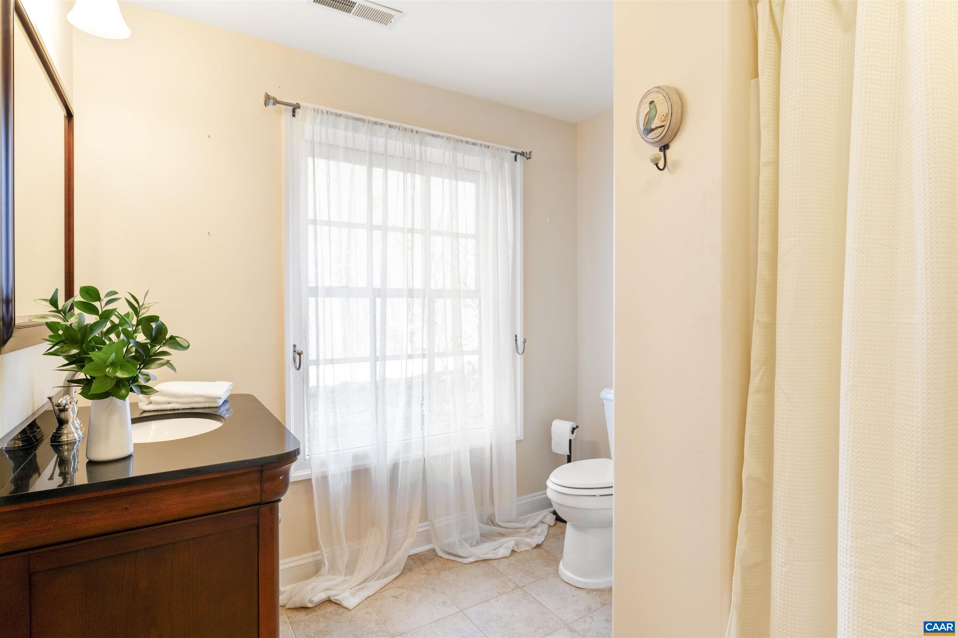 4414 Mt Alto Road Esmont, VA 22937 - Photo 42 of 68 a bathroom with a sink a toilet and a mirror