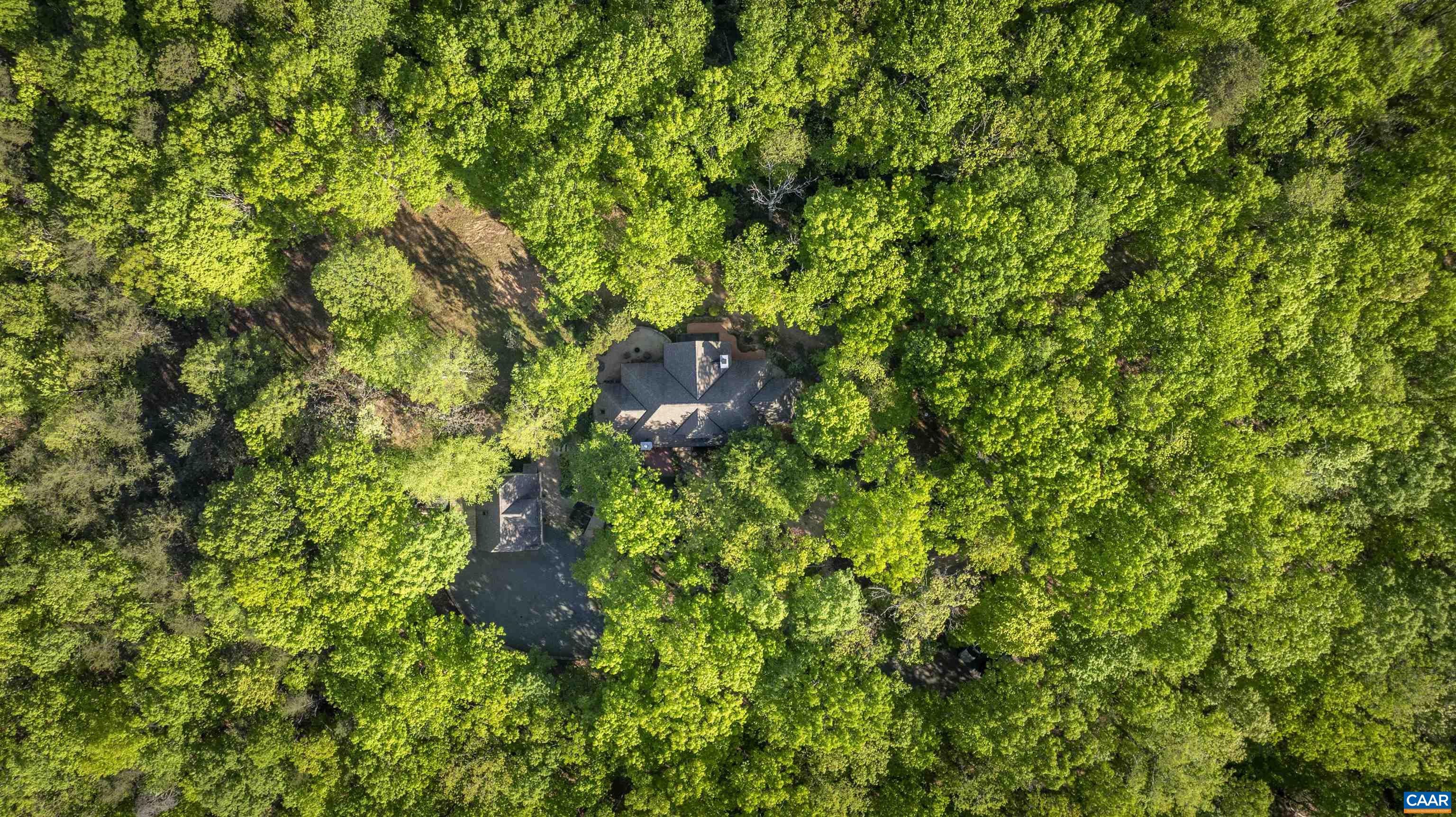 4414 Mt Alto Road Esmont, VA 22937 - Photo 59 of 68 a backyard of a house with lots of plants