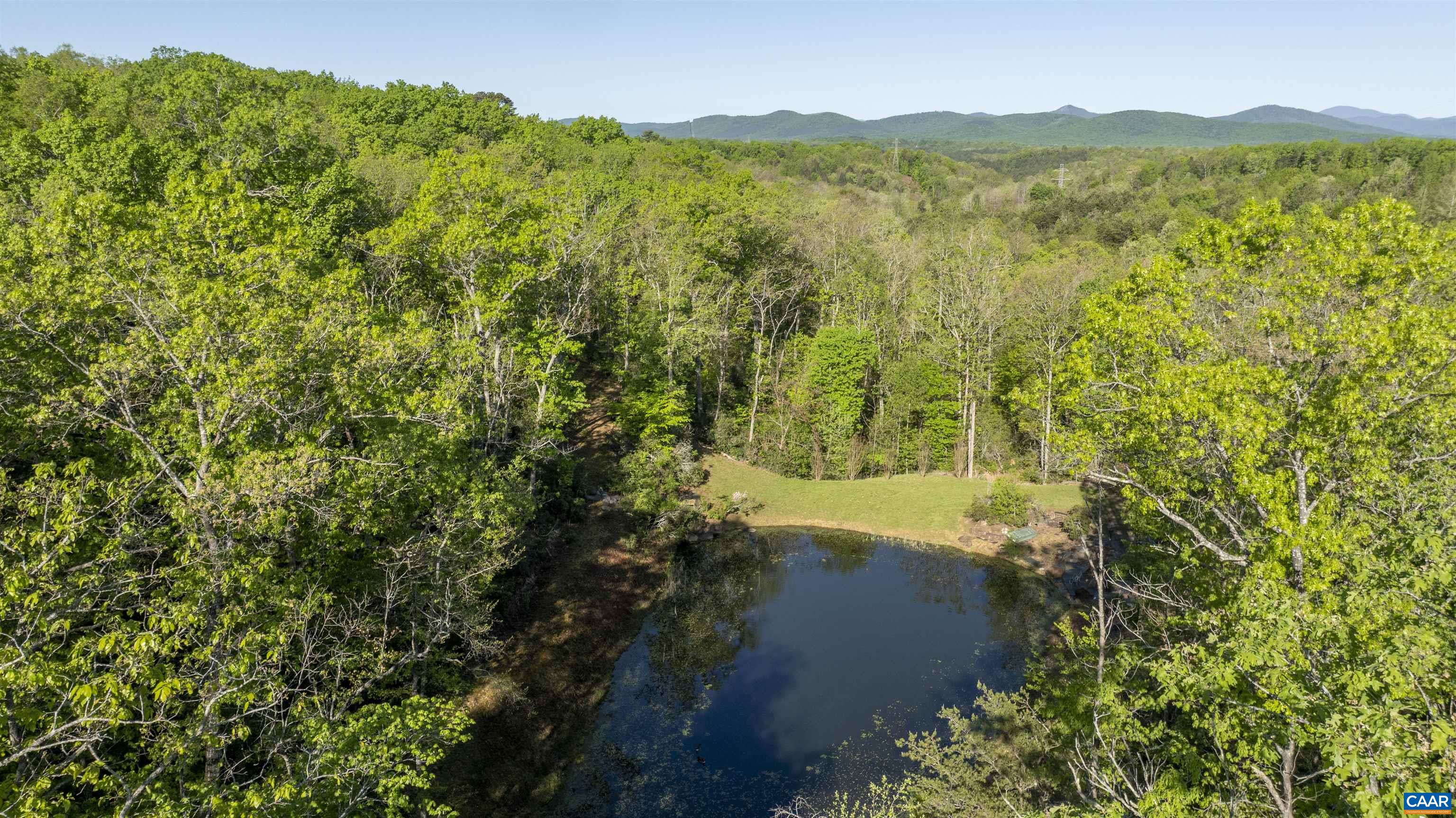 4414 Mt Alto Road Esmont, VA 22937 - Photo 61 of 68 a view of a lush green forest with a mountain