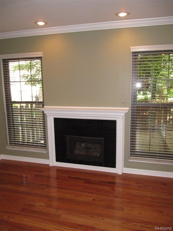 883 Lafayette Court Rochester, MI 48307 - Photo 9 of 19 GAS FIREPLACE