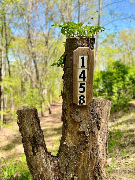 1458 Merridon Drive Pinnacle, NC 27043 - Photo 2 of 16 Address posted