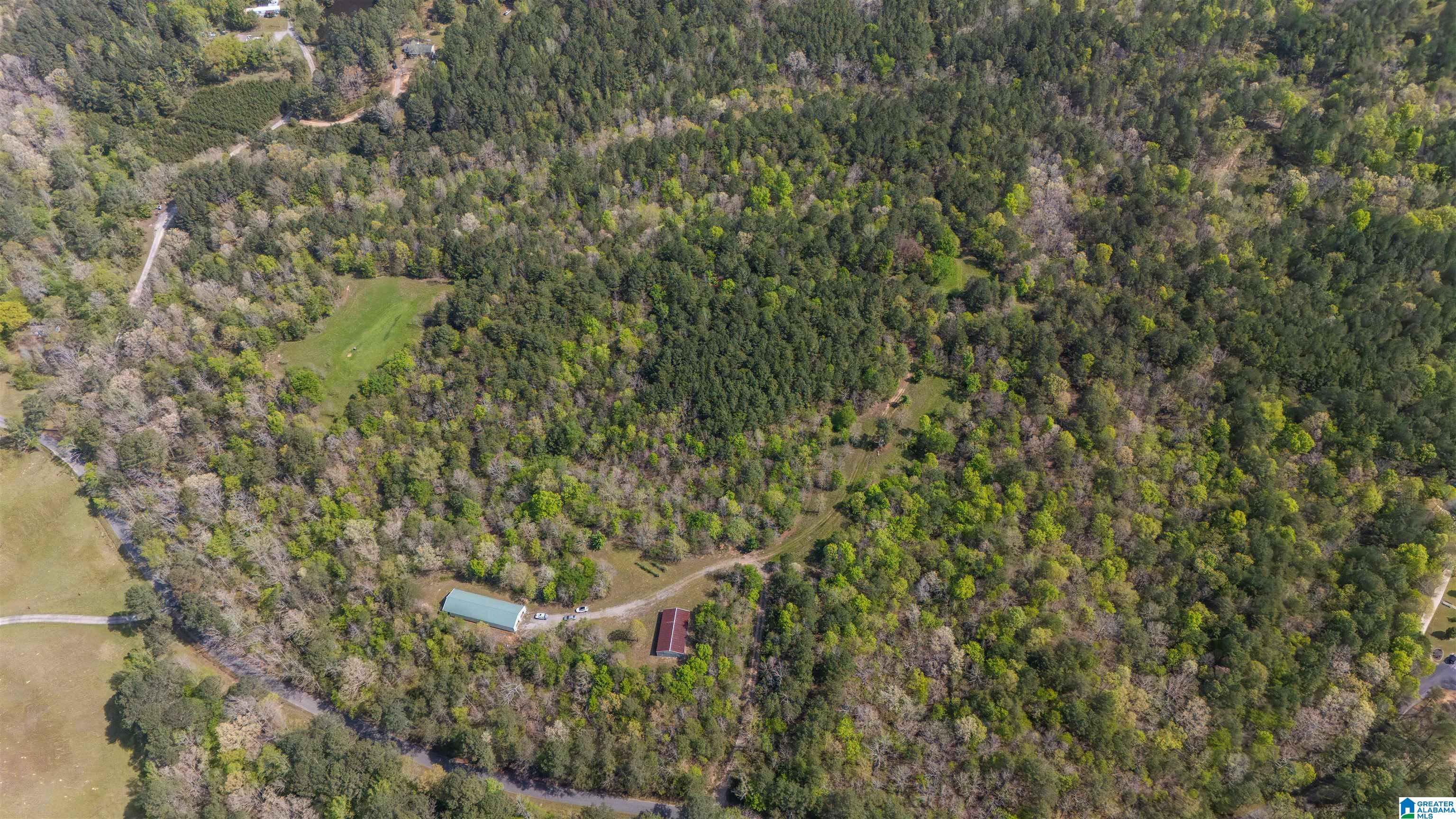 2121 Center Hill Road Trafford, AL 35172 - Photo 58 of 100