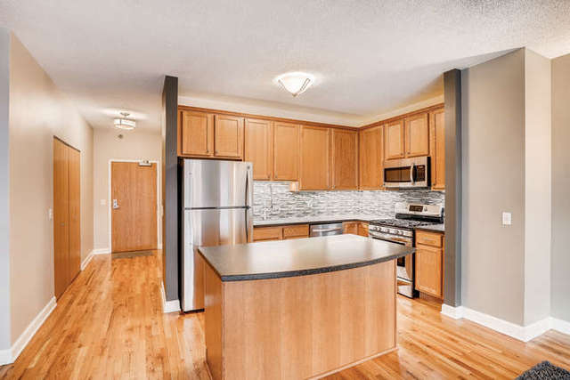 1529 South State Street, Unit 5C Chicago, IL 60605 - Photo 3 of 9