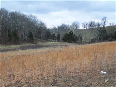 581 Brock Road Lancaster, KY 40444 - Photo 3 of 3 Photo 3