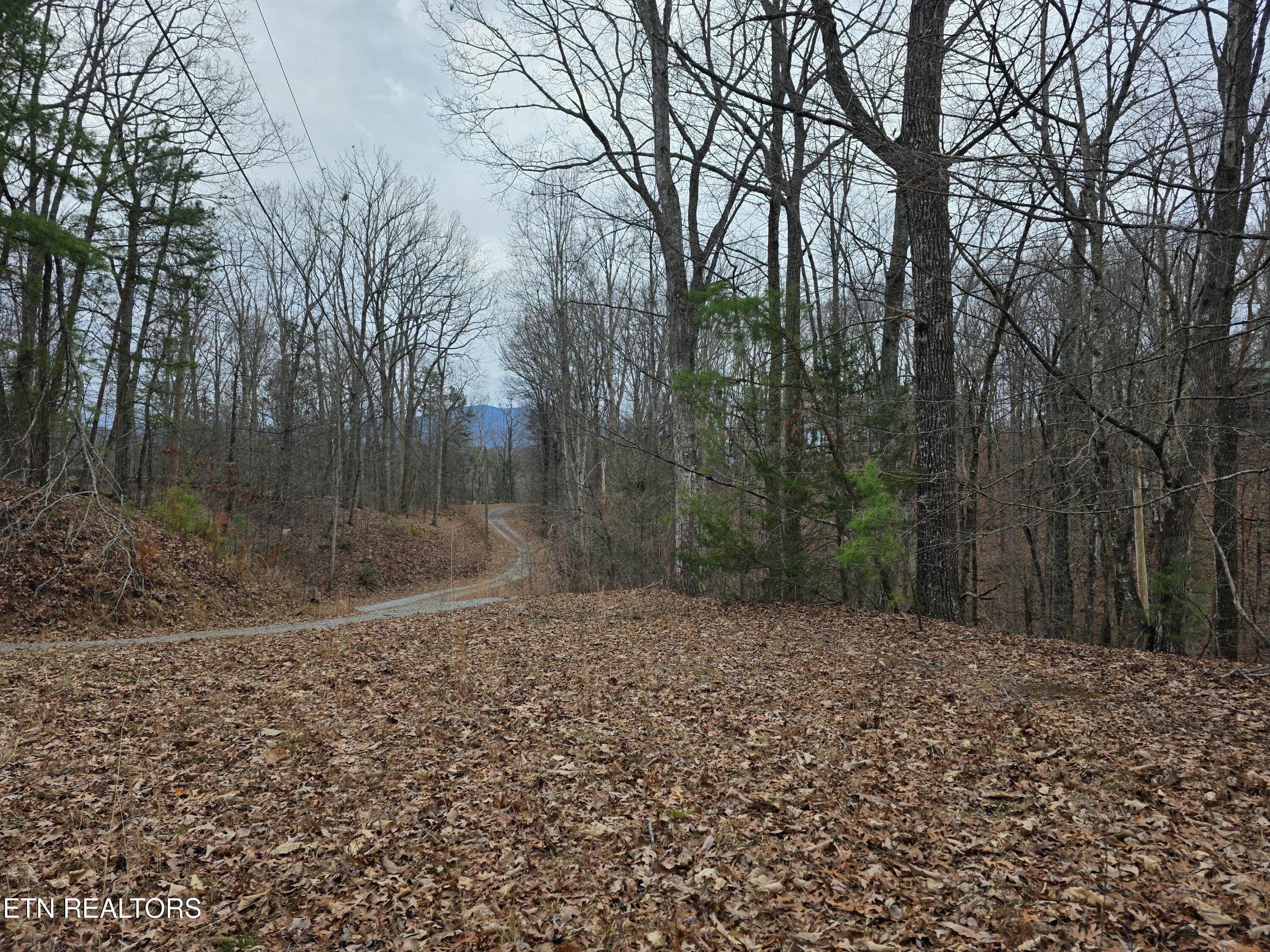 Lot 4 Deer Ridge Lane Sevierville, TN 37876 - Photo 5 of 17 20260114_082433
