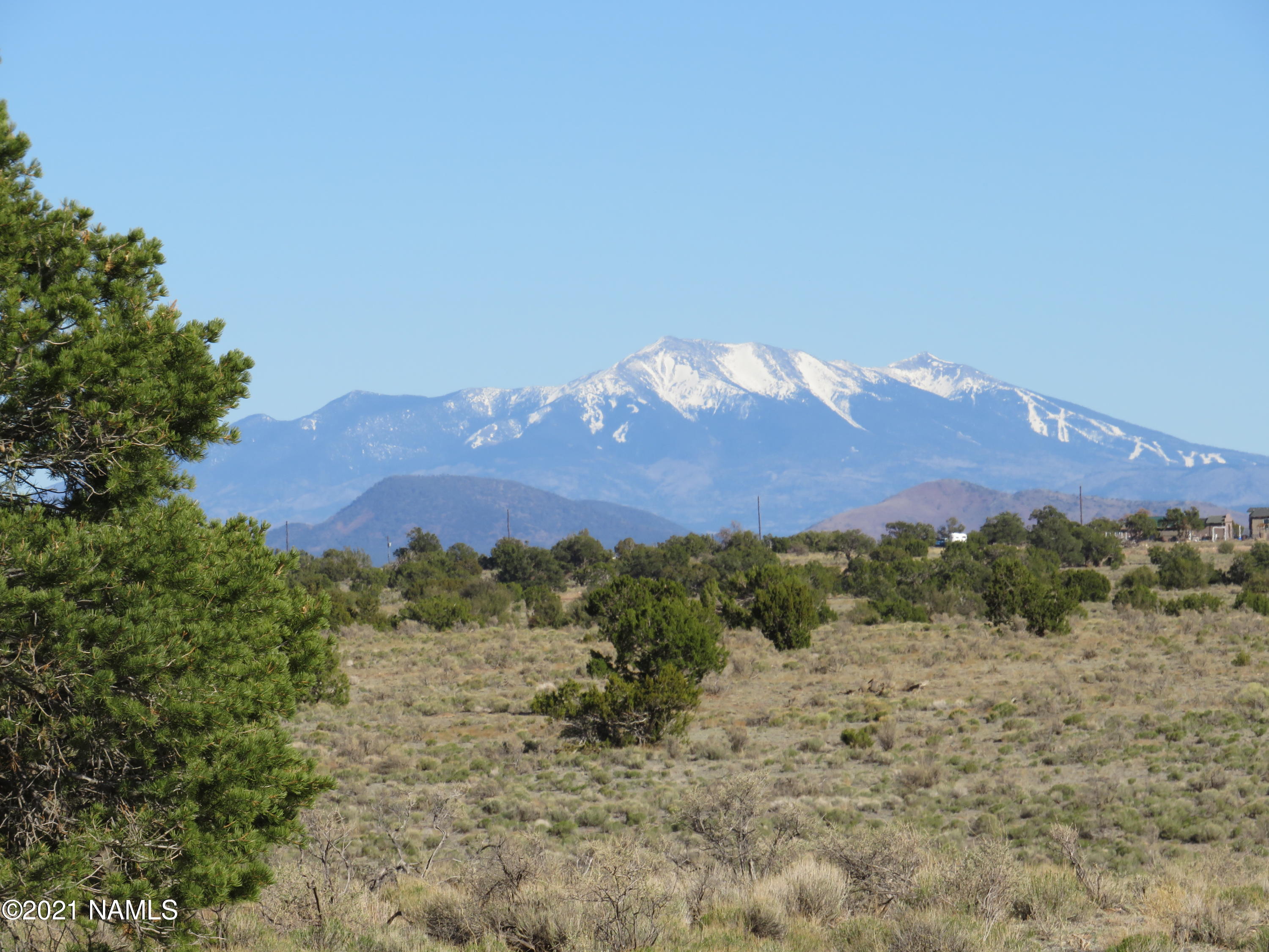 2150 Red Butte Road Williams, AZ 86046 - Photo 1 of 27 a view of a yard with a tree