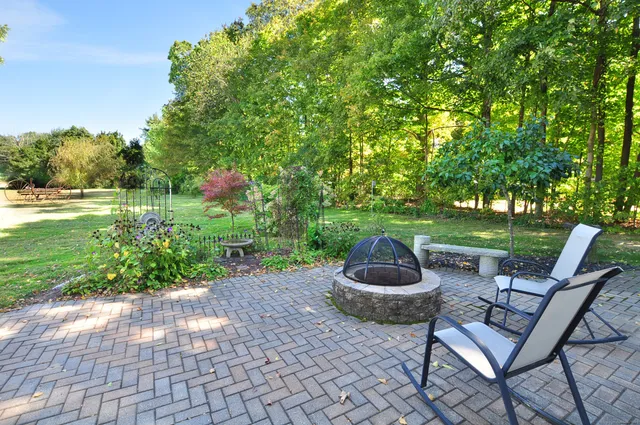 a view of a backyard with garden and plants