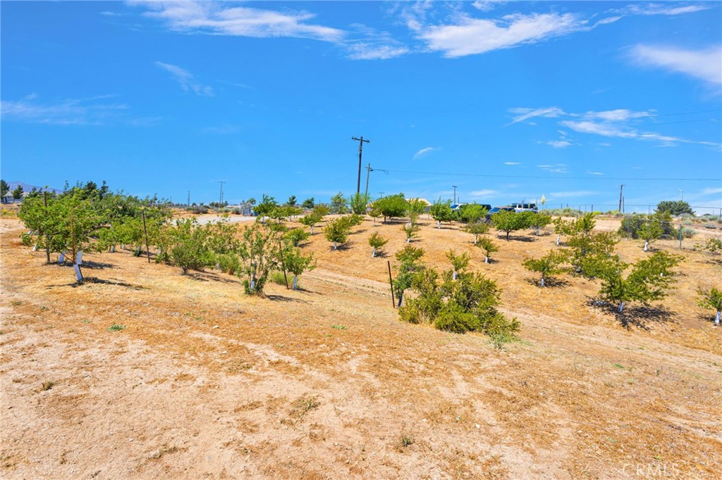 5137 Cygnet Road Phelan, CA 92371 - Photo 52 of 61