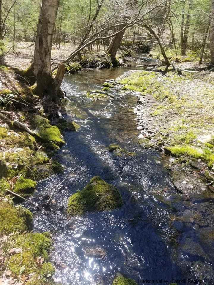 545 Upper Cherrytown Road Kerhonkson, NY 12446 - Photo 12 of 35 a view of a yard with a tree