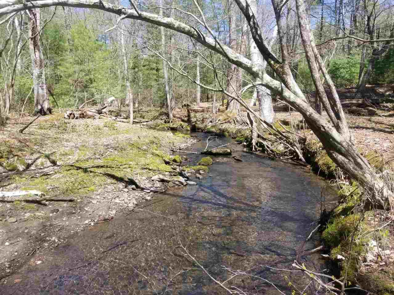 545 Upper Cherrytown Road Kerhonkson, NY 12446 - Photo 13 of 35 a view of yard with trees