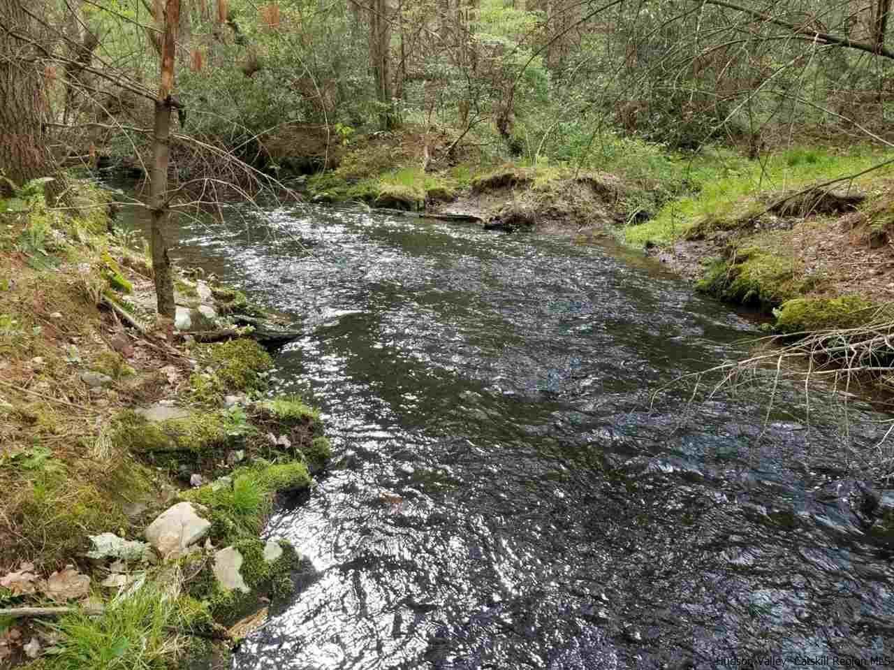 545 Upper Cherrytown Road Kerhonkson, NY 12446 - Photo 17 of 35 a view of a forest with trees