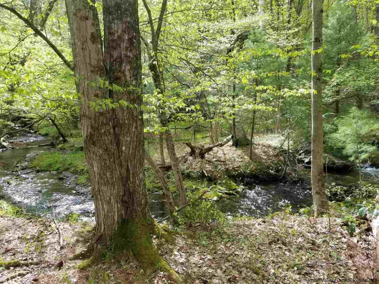 545 Upper Cherrytown Road Kerhonkson, NY 12446 - Photo 21 of 35 a view of a garden