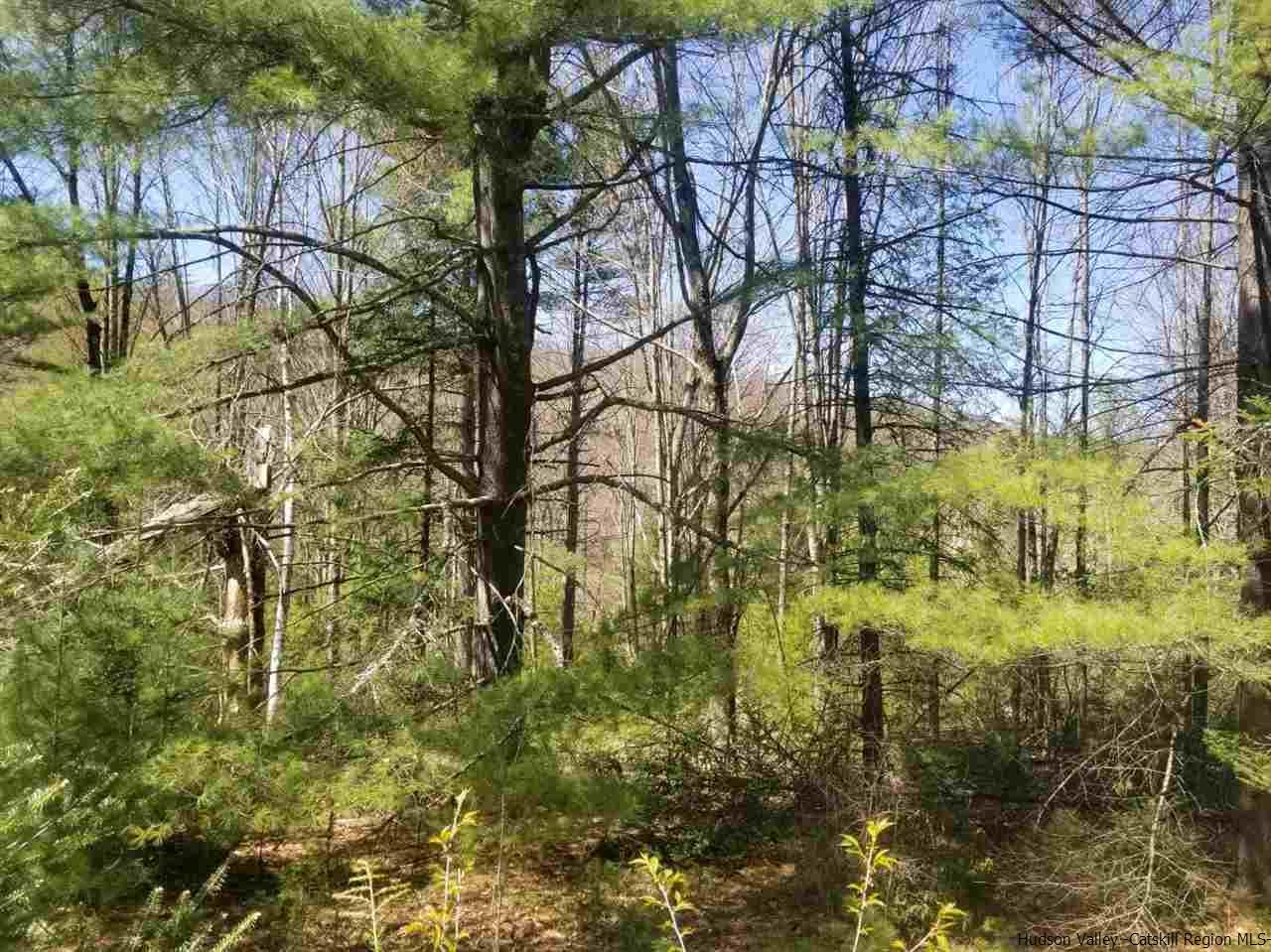 545 Upper Cherrytown Road Kerhonkson, NY 12446 - Photo 33 of 35 a view of a yard with plants and large trees
