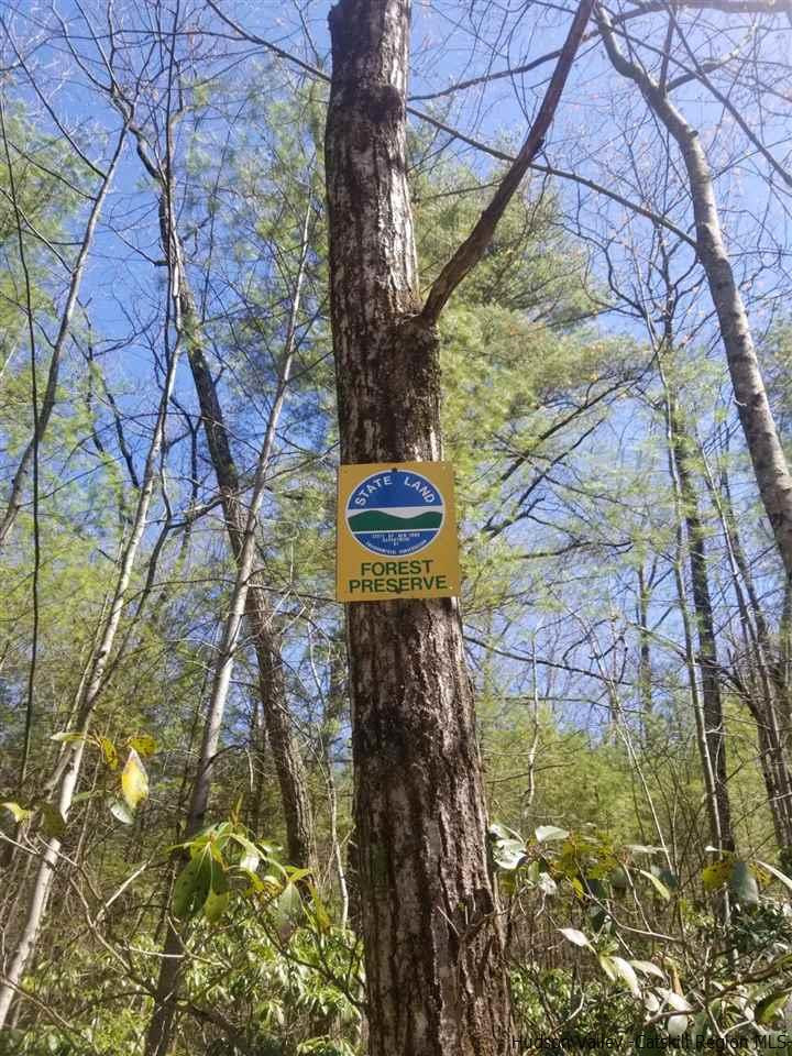 545 Upper Cherrytown Road Kerhonkson, NY 12446 - Photo 4 of 35 a view of a tree with a yard