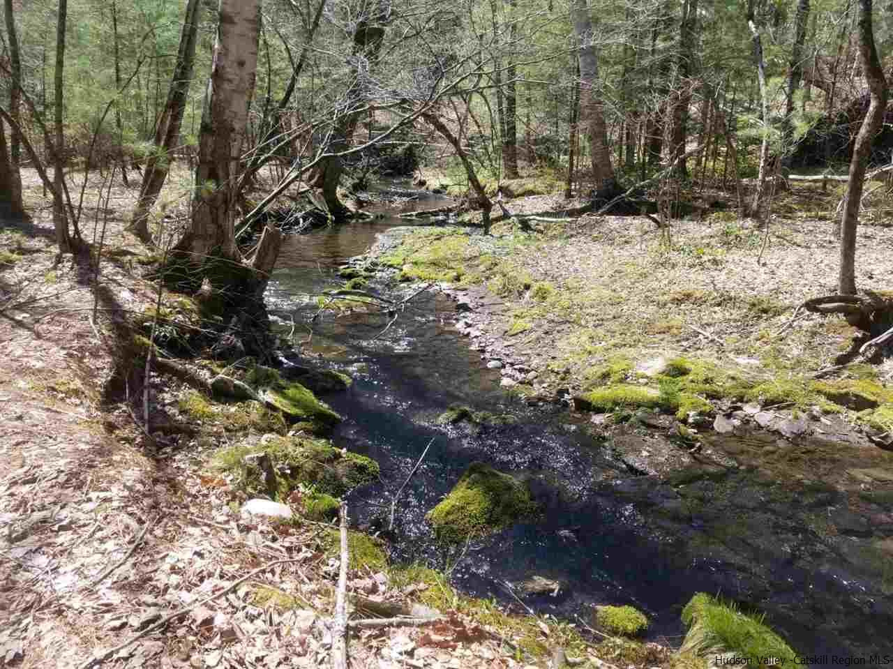 545 Upper Cherrytown Road Kerhonkson, NY 12446 - Photo 6 of 35 a view of a yard with trees