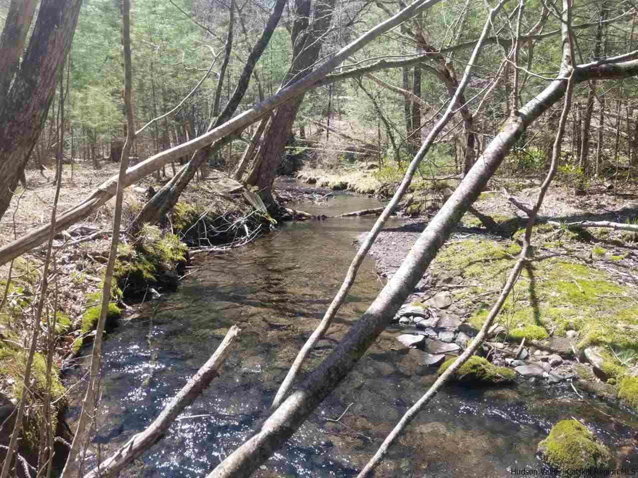 545 Upper Cherrytown Road Kerhonkson, NY 12446 - Photo 9 of 35 a view of trees and wooden stairs