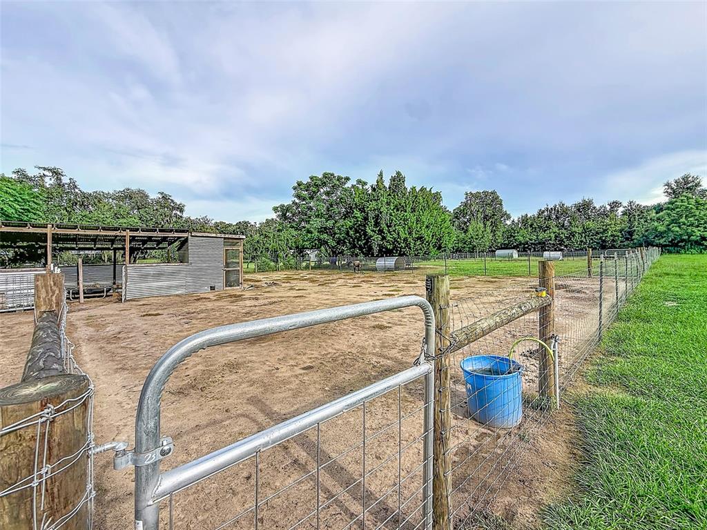 16736 Powerline Road Dade City, FL 33523 - Photo 52 of 77 Gallery Image 52