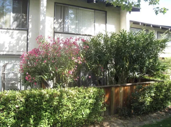 $3,950 | 590 Mills Way, Goleta, CA 93117