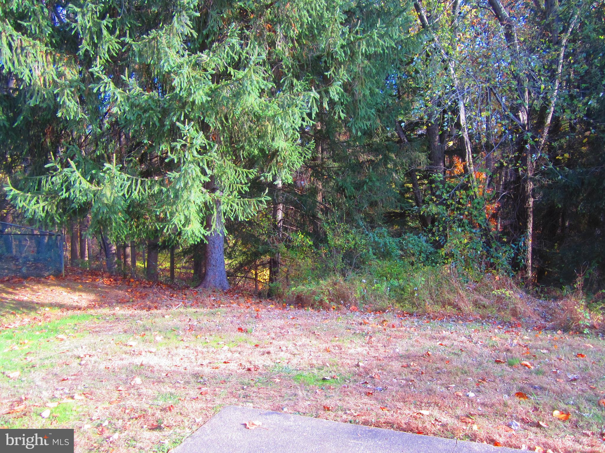 3623 Templar Road Randallstown, MD 21133 - Photo 22 of 26 Rear yard