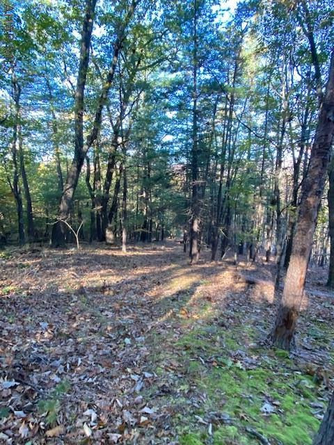 3362 Ragged Mountain Road Clearville, PA 15535 - Photo 15 of 22
