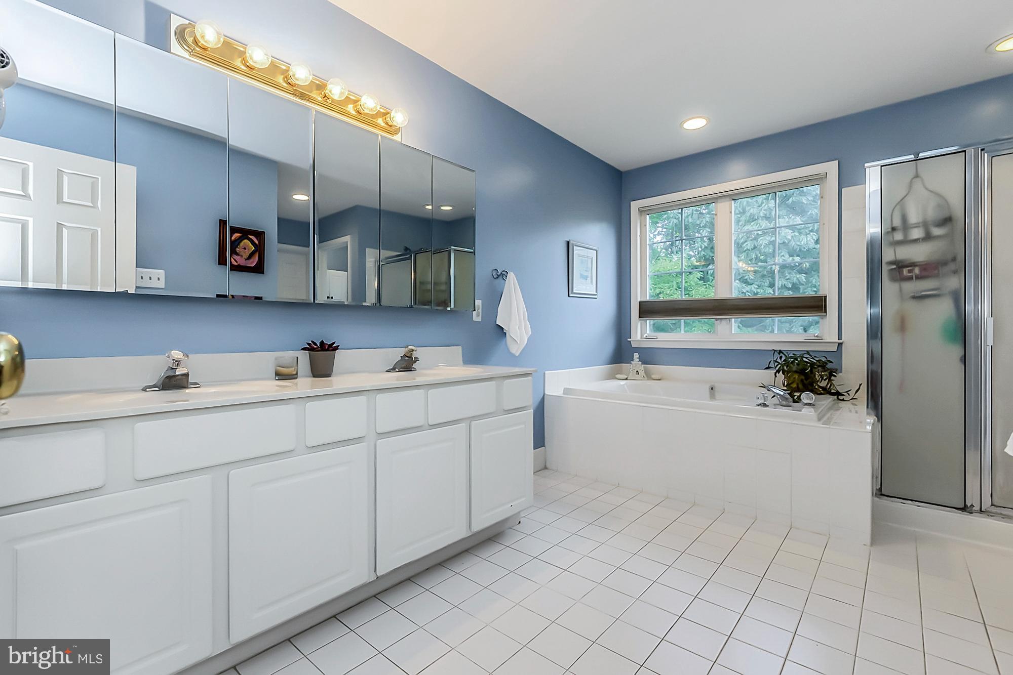 50 Lee Road Norristown, PA 19403 - Photo 27 of 49 Primary Bathroom with soaking tub