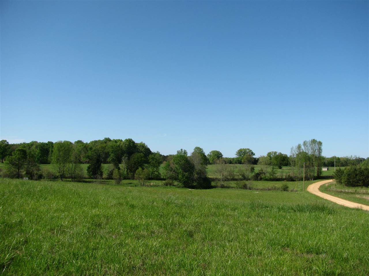 450 Hutton Road Sardis, TN 38371 - Photo 11 of 19