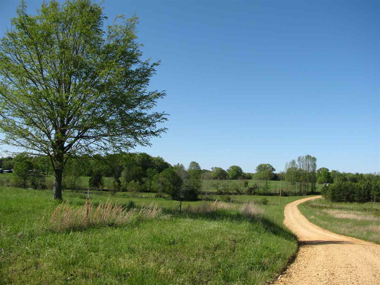 450 Hutton Road Sardis, TN 38371 - Photo 16 of 19