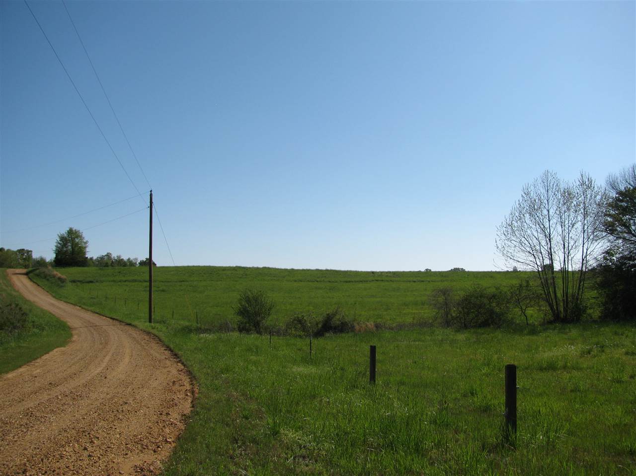450 Hutton Road Sardis, TN 38371 - Photo 18 of 19