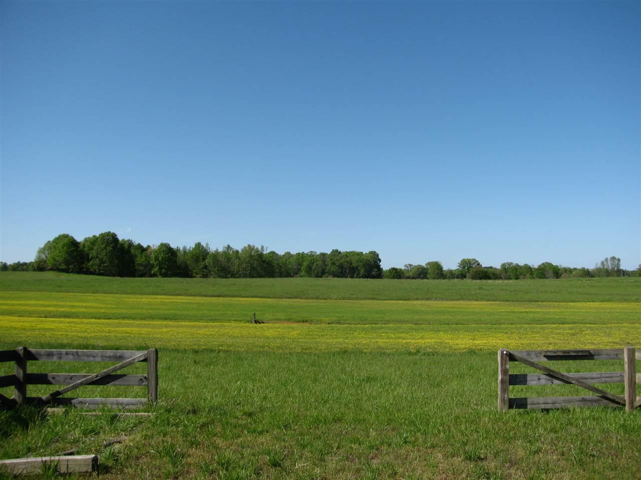 450 Hutton Road Sardis, TN 38371 - Photo 4 of 19