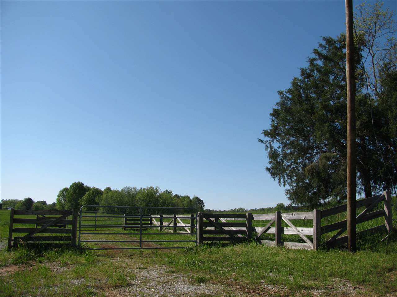 450 Hutton Road Sardis, TN 38371 - Photo 6 of 19