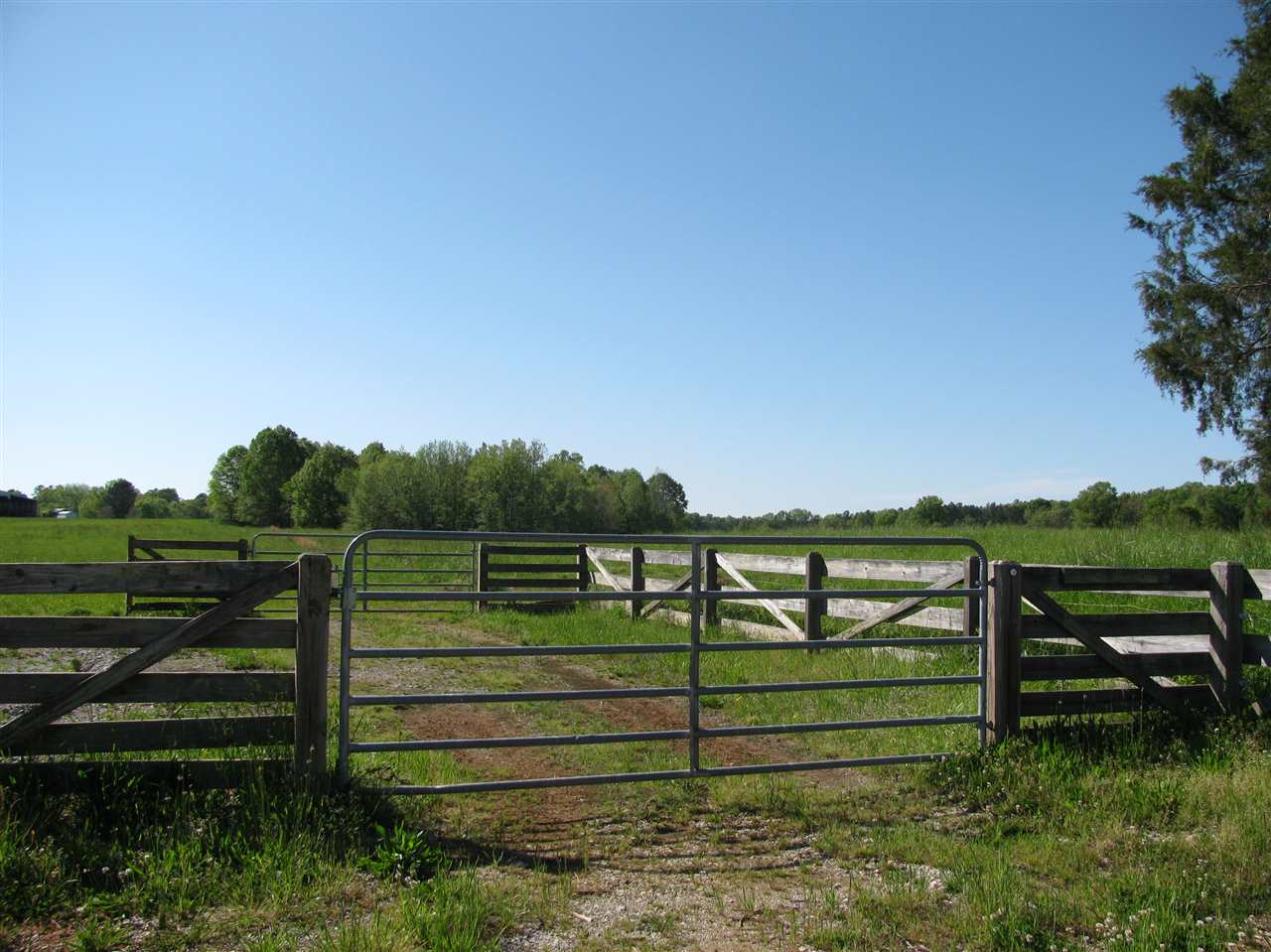 450 Hutton Road Sardis, TN 38371 - Photo 8 of 19