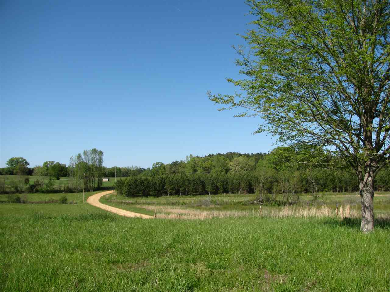 450 Hutton Road Sardis, TN 38371 - Photo 10 of 19