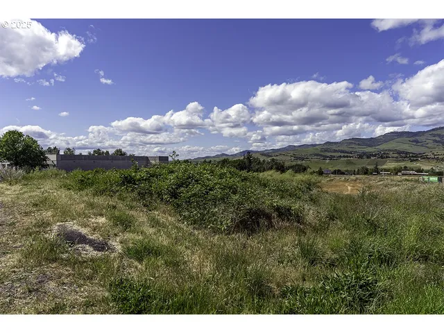 a view of a city with lush green forest