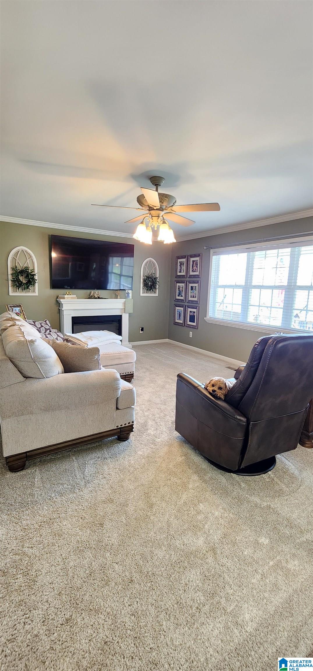 250 Martin Drive Oneonta, AL 35121 - Photo 13 of 40