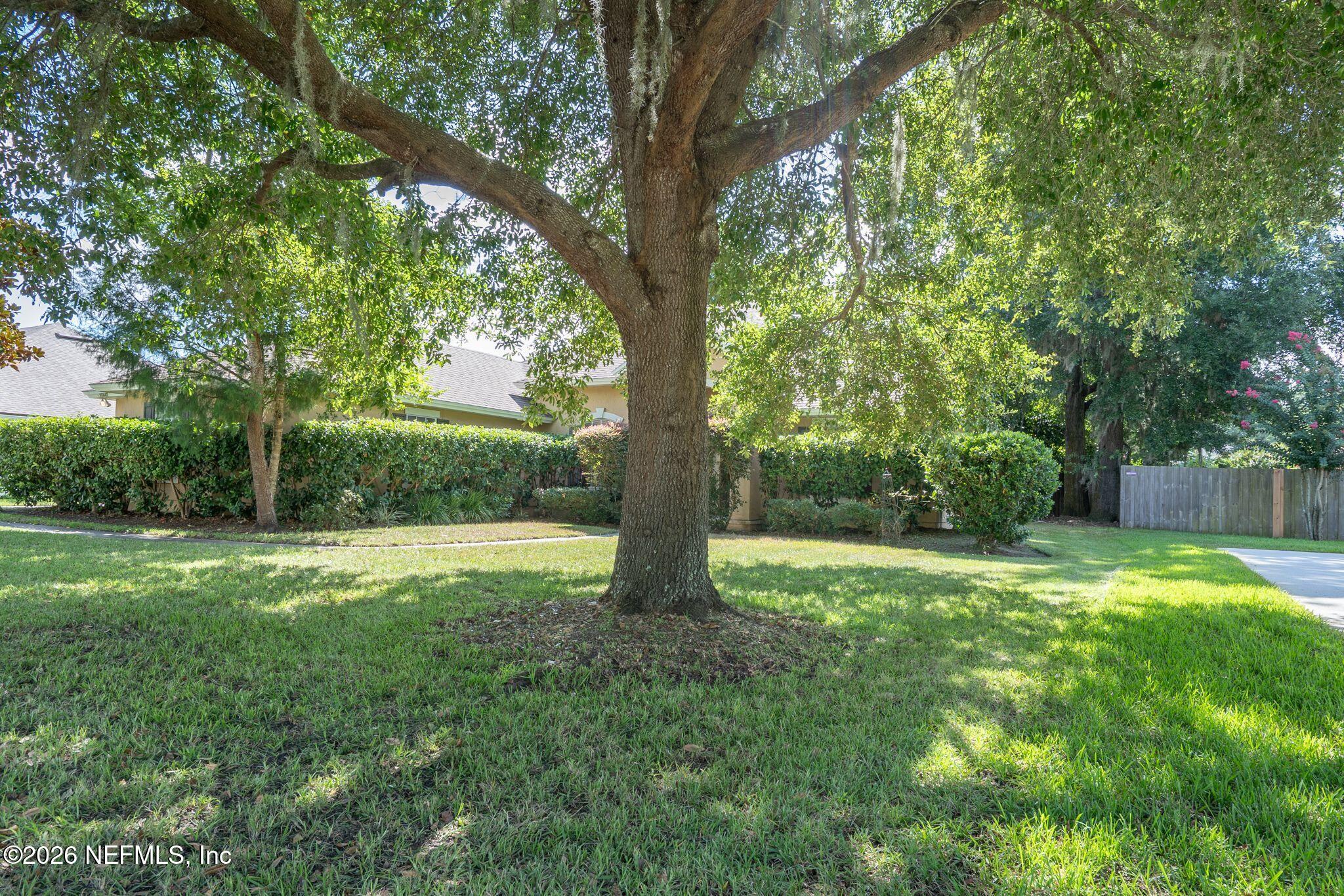 97447 Bluff View Circle Yulee, FL 32097 - Photo 2 of 19 a view of outdoor space with deck and yard