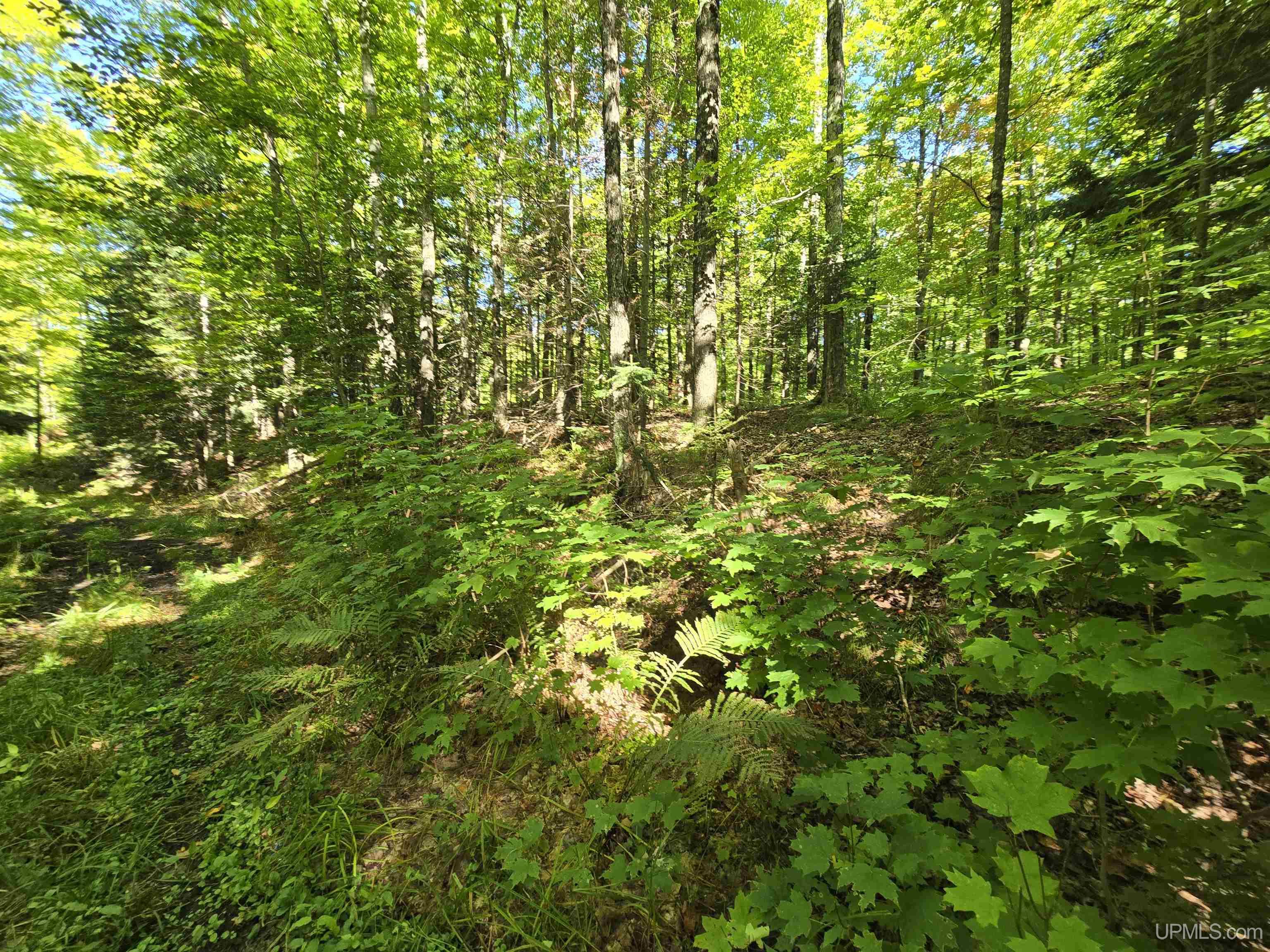 9 Redridge Creek Road Atlantic Mine, MI 49905 - Photo 10 of 27