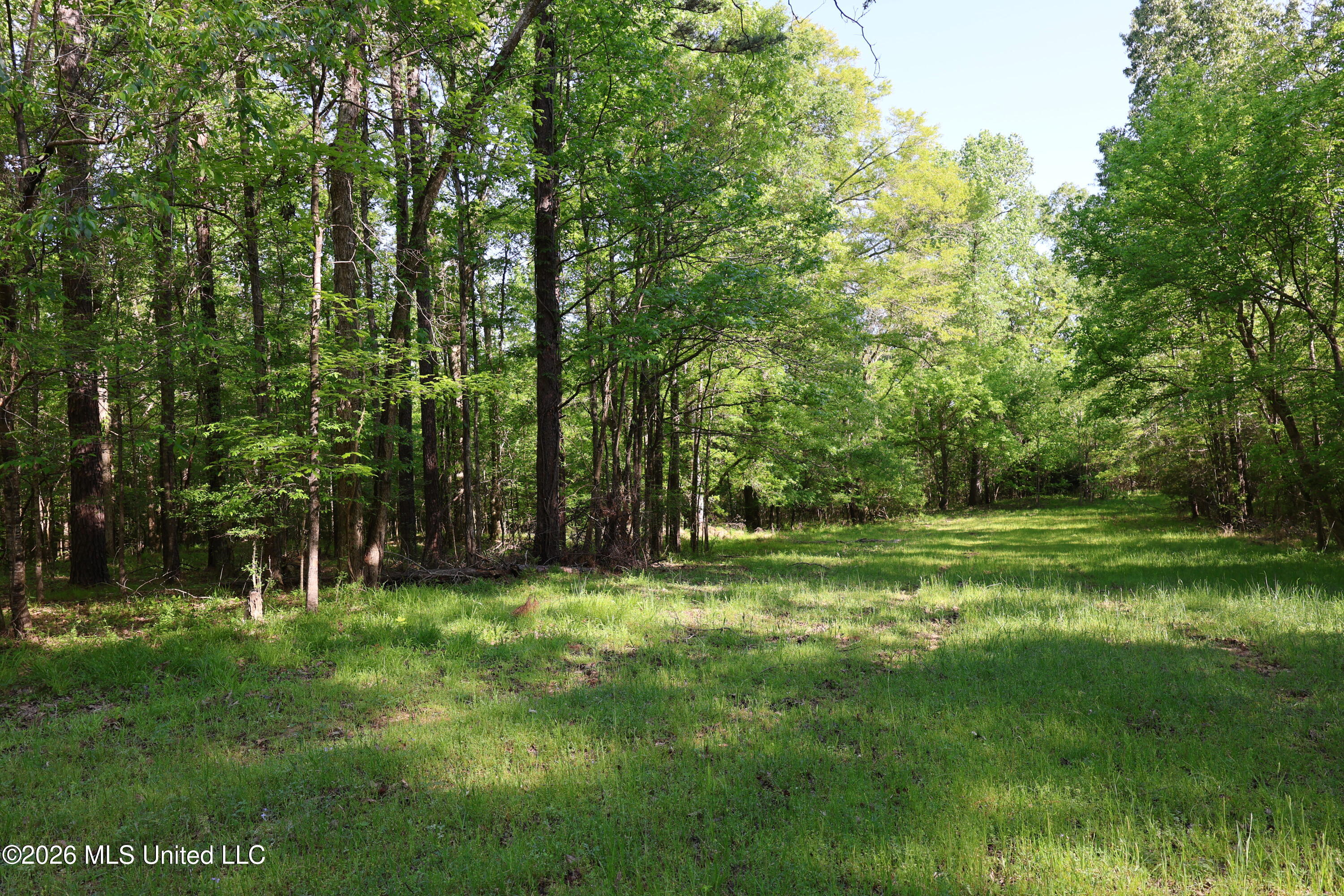 1060 Pearline Bailey Rd Port Port Gibson, MS 39150 - Photo 40 of 63 9261711B-4C8B-4585-98A9-D9225DD6921A