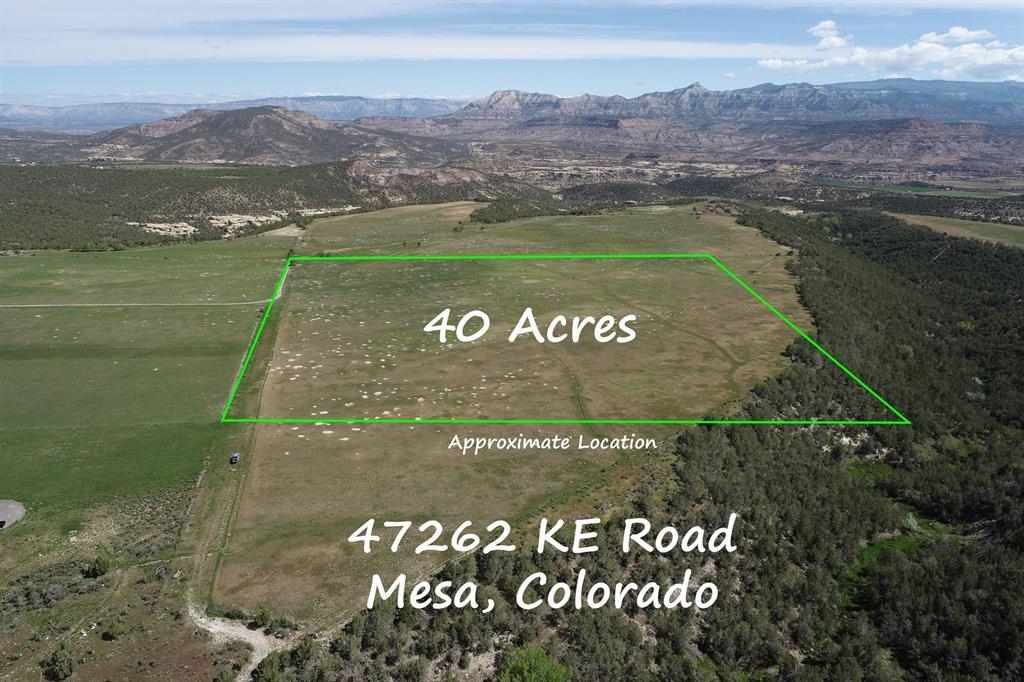 a view of a park with an ocean view