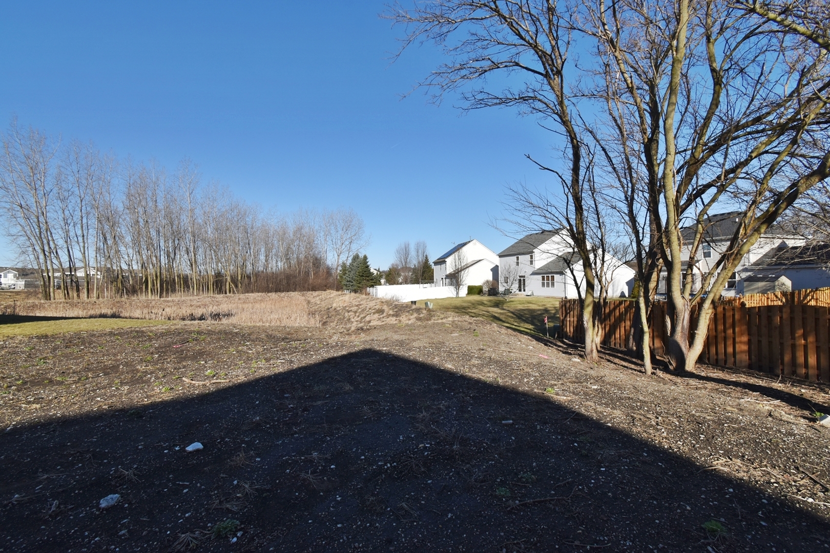 4012 Faith Lane St. Charles, IL 60174 - Photo 9 of 24 a view of dirt yard with a large tree