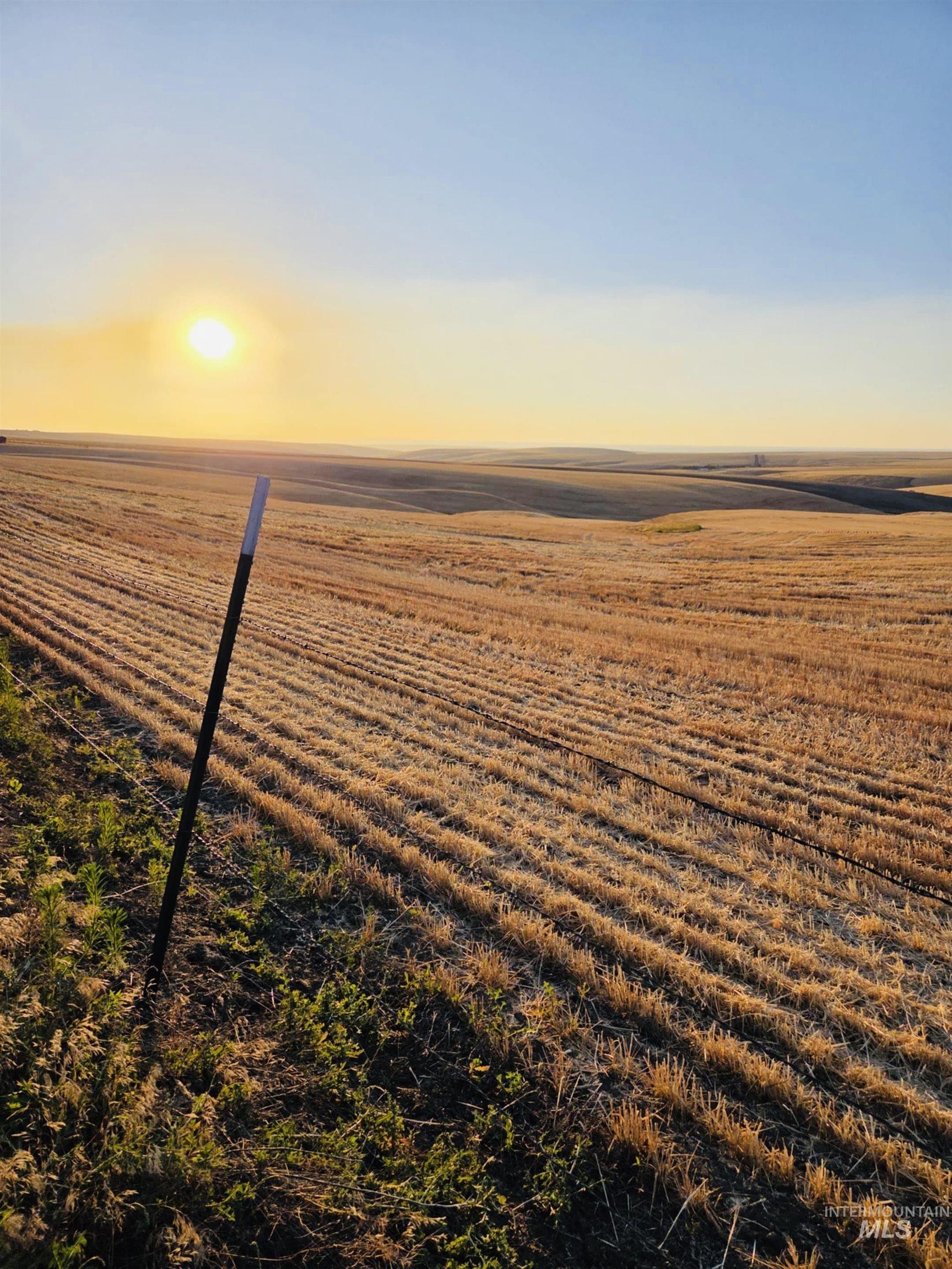 Nka Smith Gulch Road Pomeroy, WA 99347 - Photo 13 of 19 Water view featuring rural landscape and rows of crops