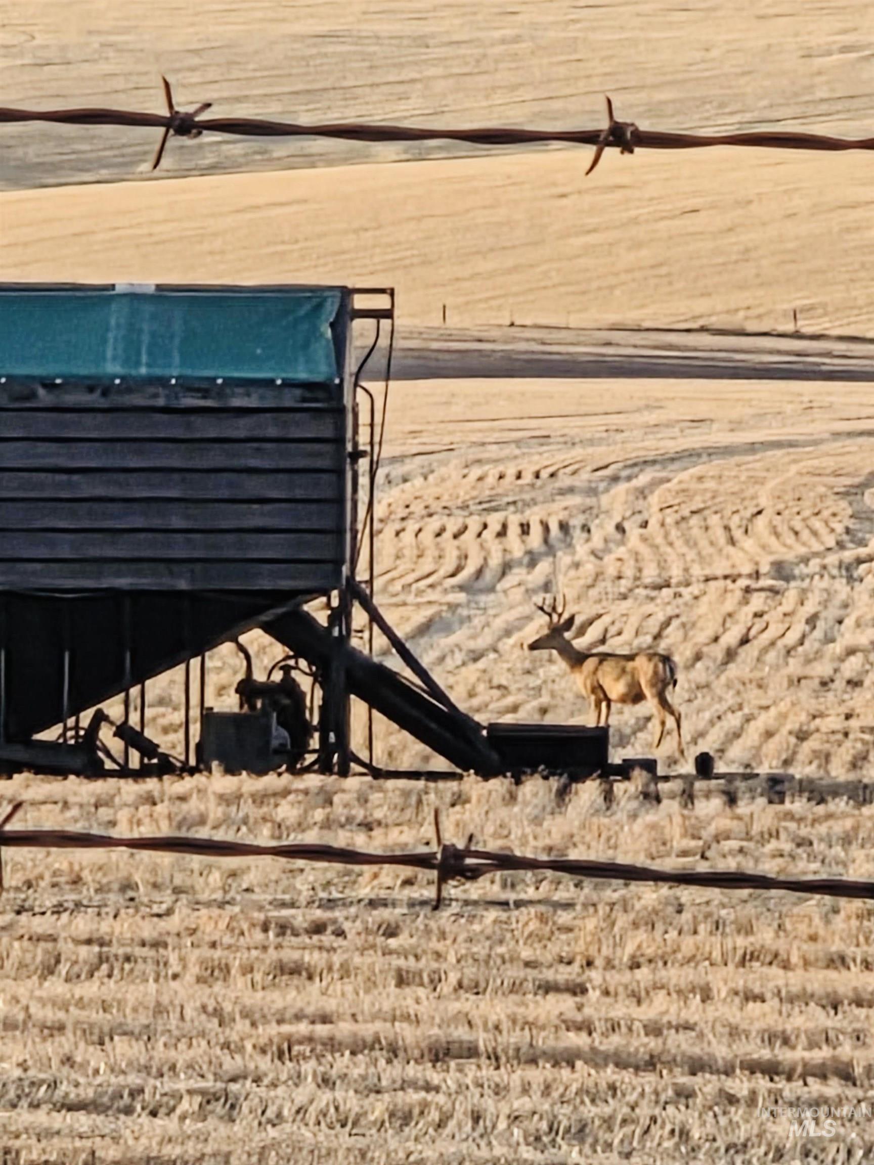 Nka Smith Gulch Road Pomeroy, WA 99347 - Photo 13 of 18