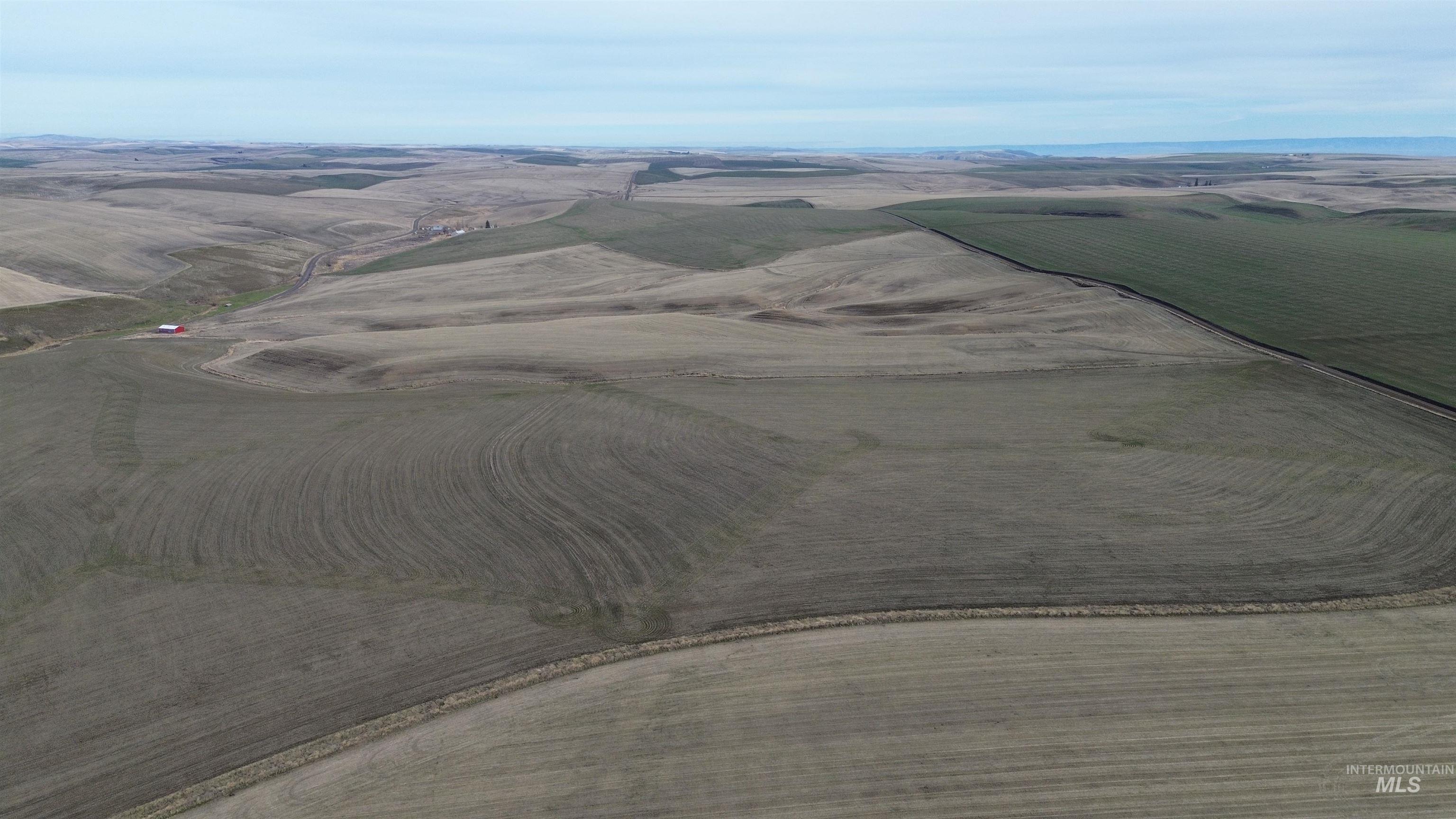 Nka Smith Gulch Road Pomeroy, WA 99347 - Photo 14 of 18 Overview of rural landscape