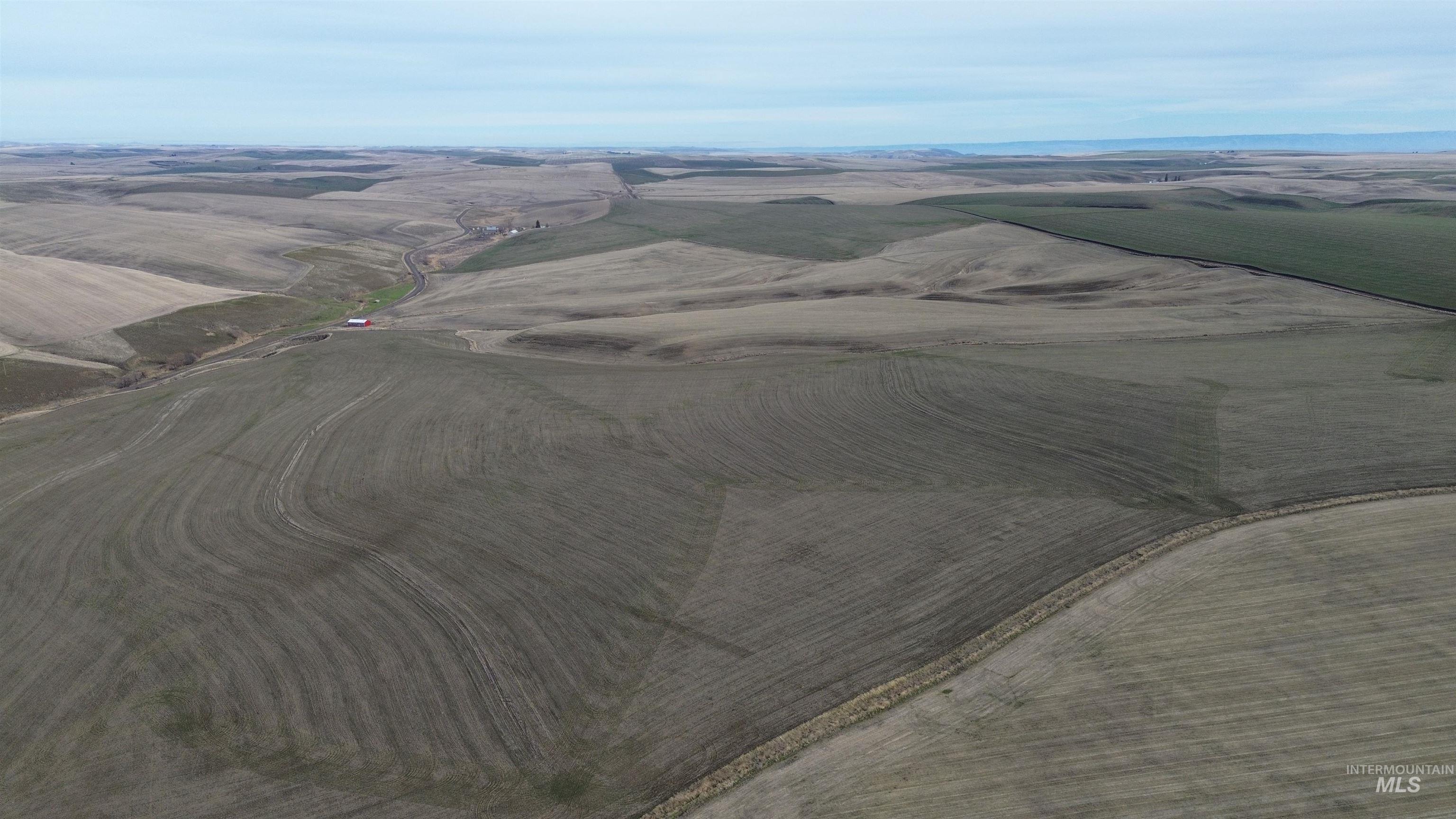 Nka Smith Gulch Road Pomeroy, WA 99347 - Photo 16 of 19 Overview of rural landscape