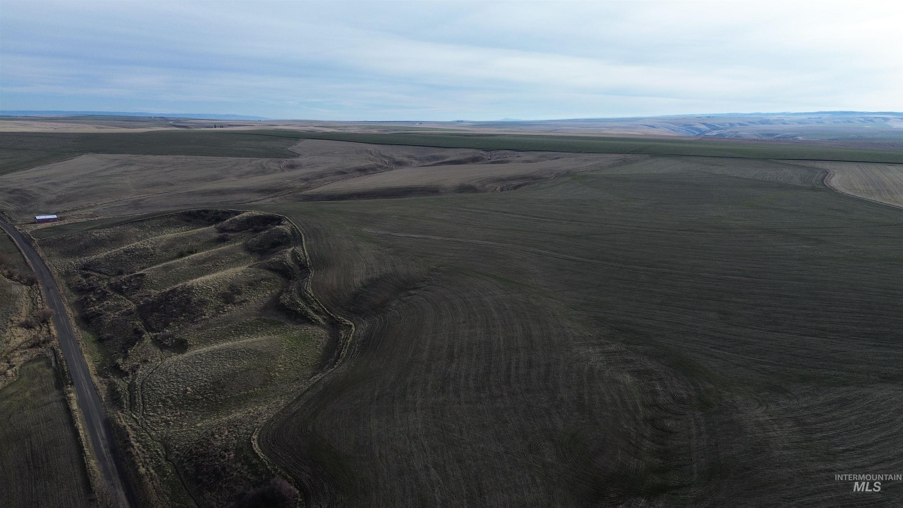 Nka Smith Gulch Road Pomeroy, WA 99347 - Photo 17 of 19 Overview of rural landscape featuring abundant farmland