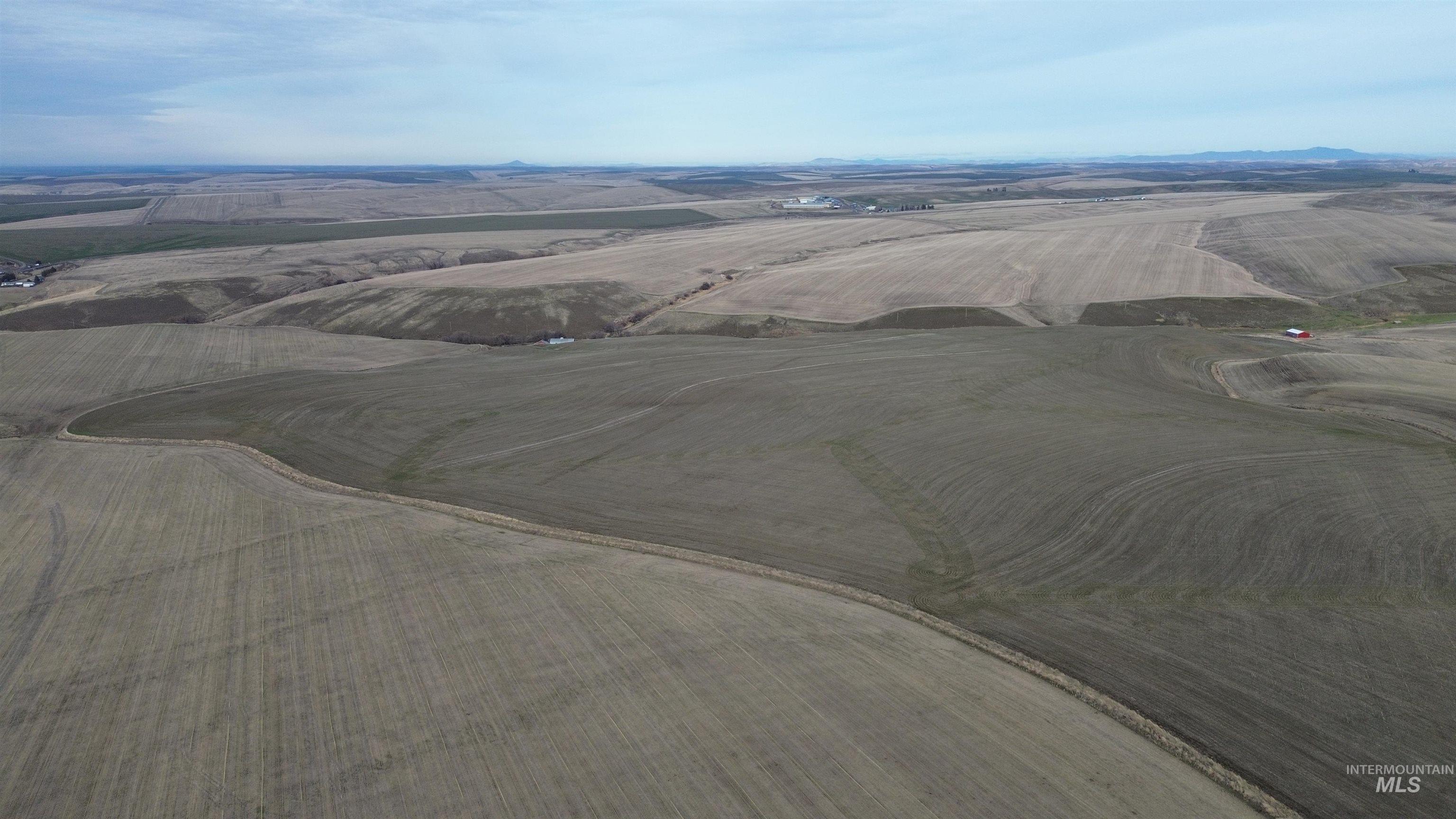 Nka Smith Gulch Road Pomeroy, WA 99347 - Photo 17 of 18 Overview of rural landscape